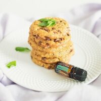 Spearmint Choc Chip Cookies using essential oil